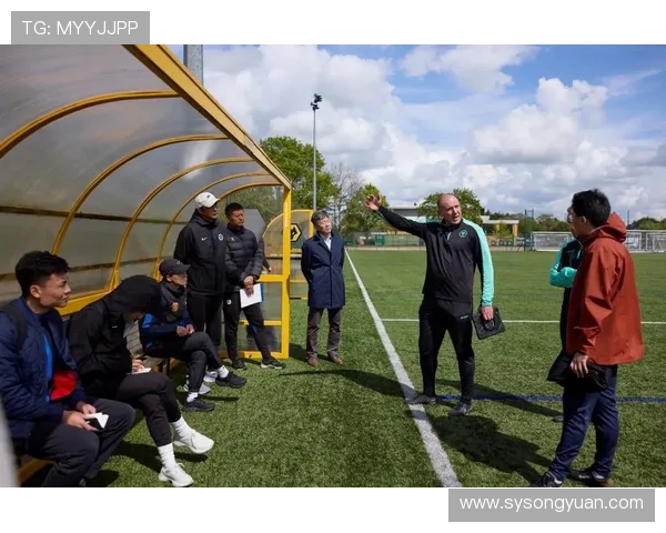 欧足联与非足联建立战略合作深化青训交流